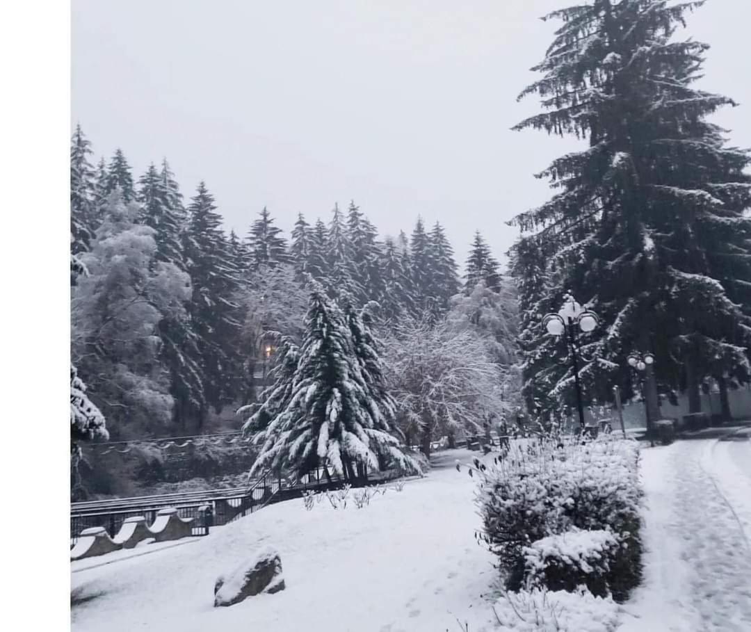 Hotel Vila Nicoleta Băile Olăneşti Esterno foto