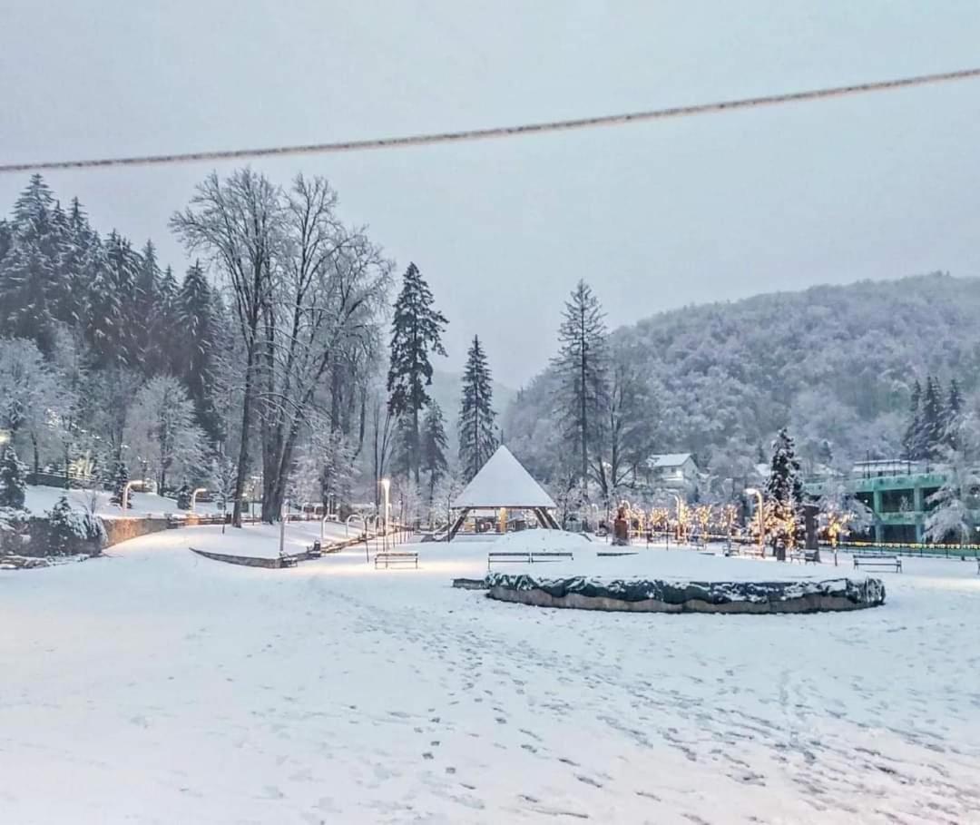 Hotel Vila Nicoleta Băile Olăneşti Esterno foto