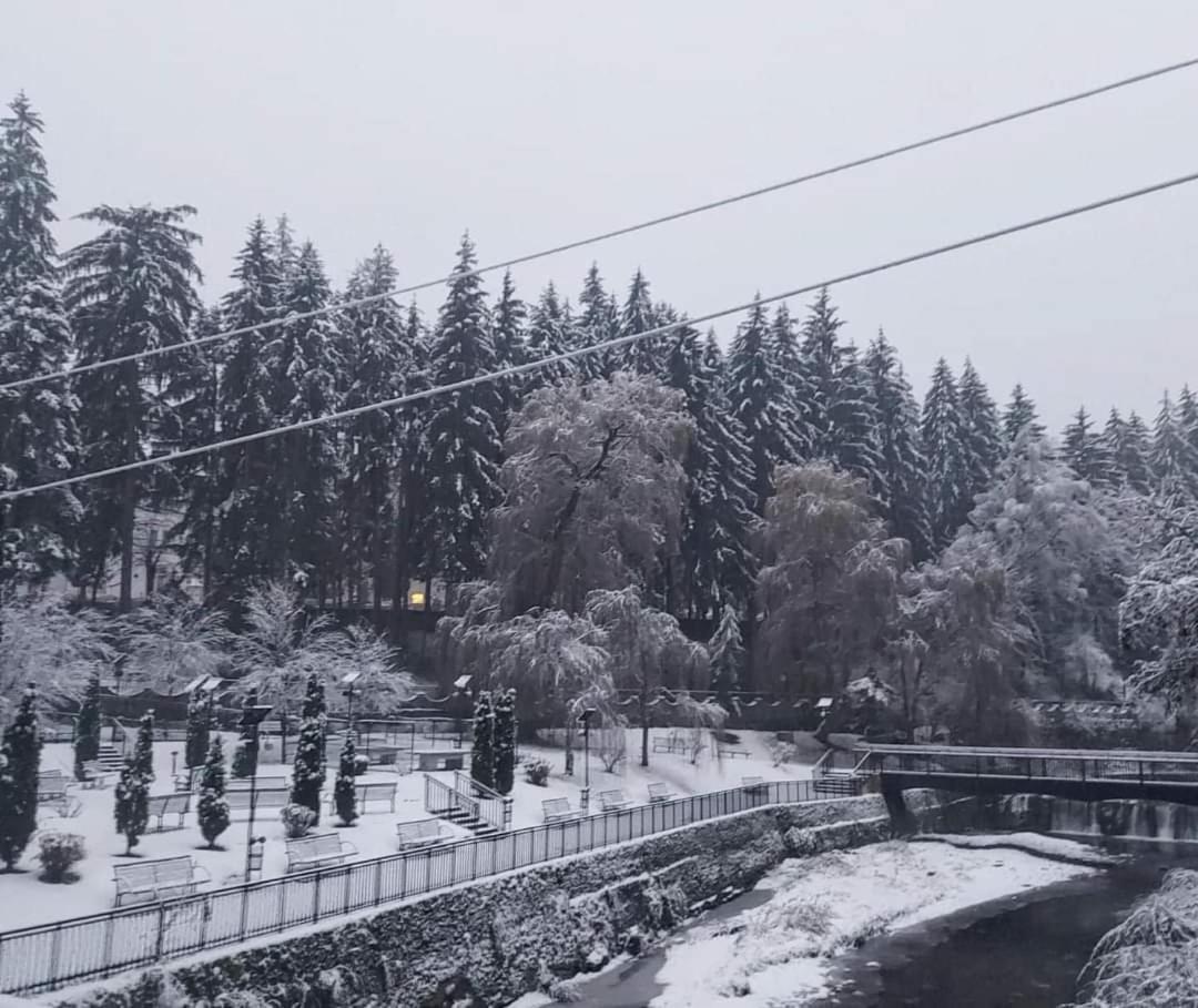 Hotel Vila Nicoleta Băile Olăneşti Esterno foto