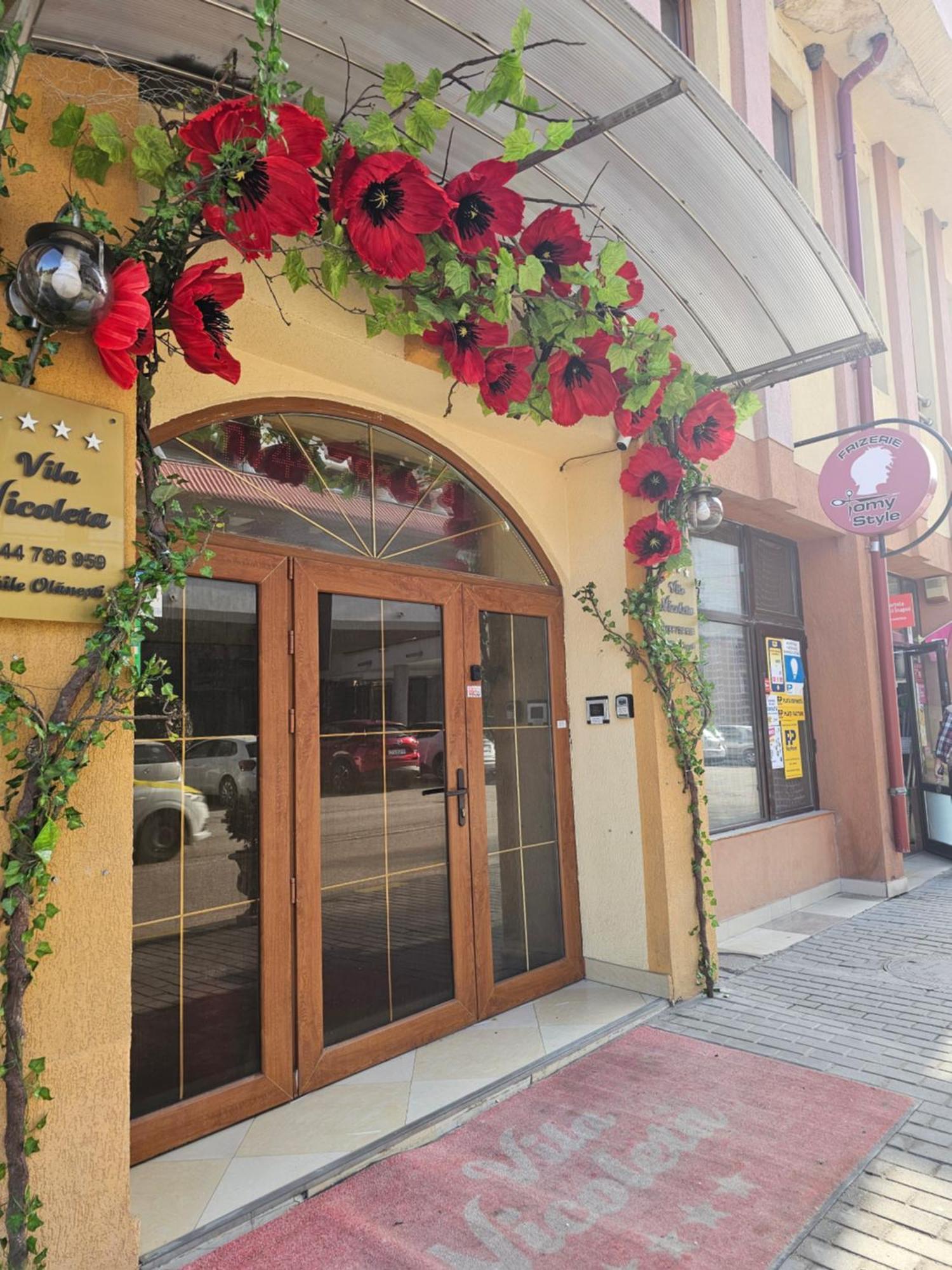 Vila Nicoleta Băile Olăneşti Esterno foto
