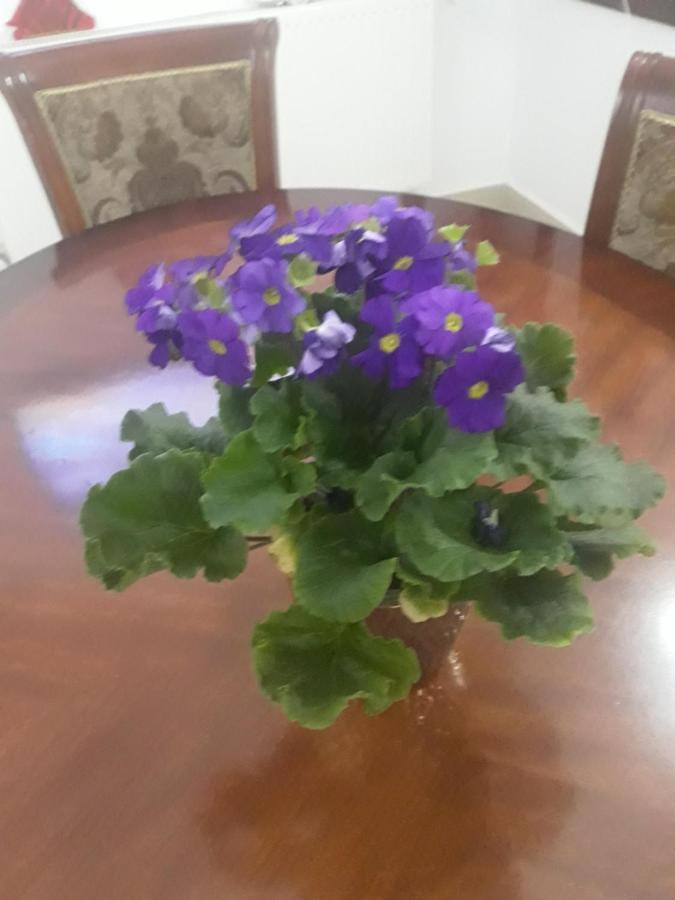 Vila Nicoleta Băile Olăneşti Esterno foto